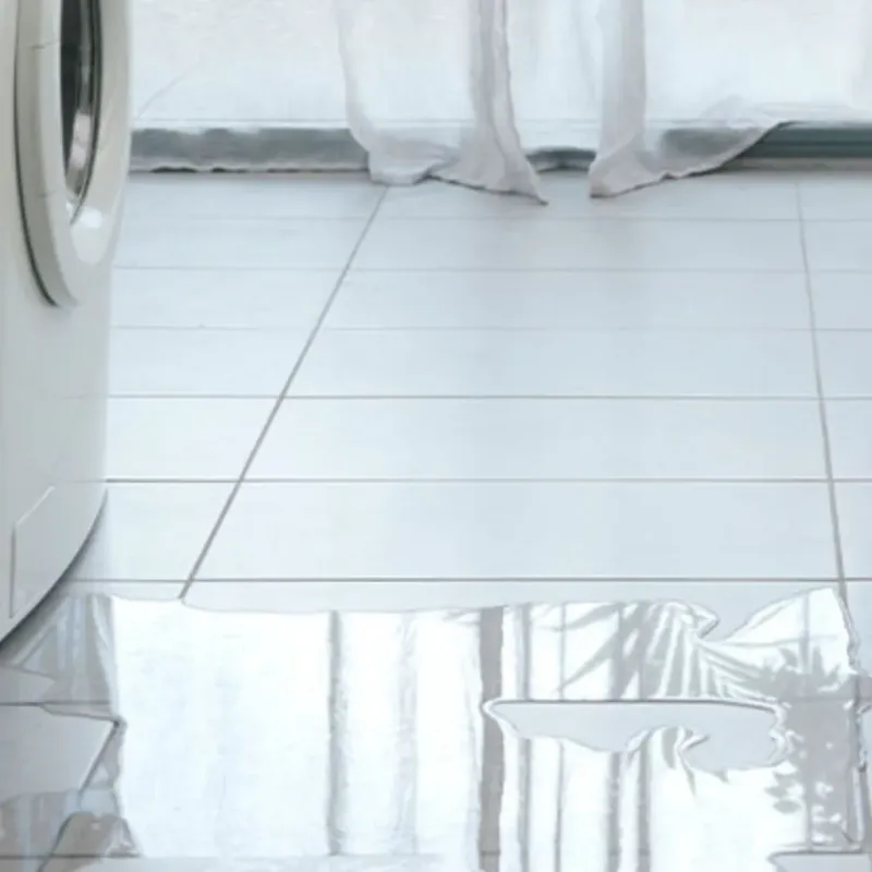 Appliance Leak Cleanup in Fern Prairie, WA