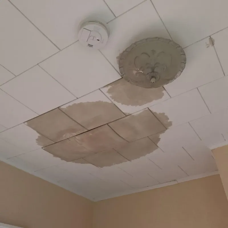 Ceiling Water Damage Repair in Fern Prairie, WA