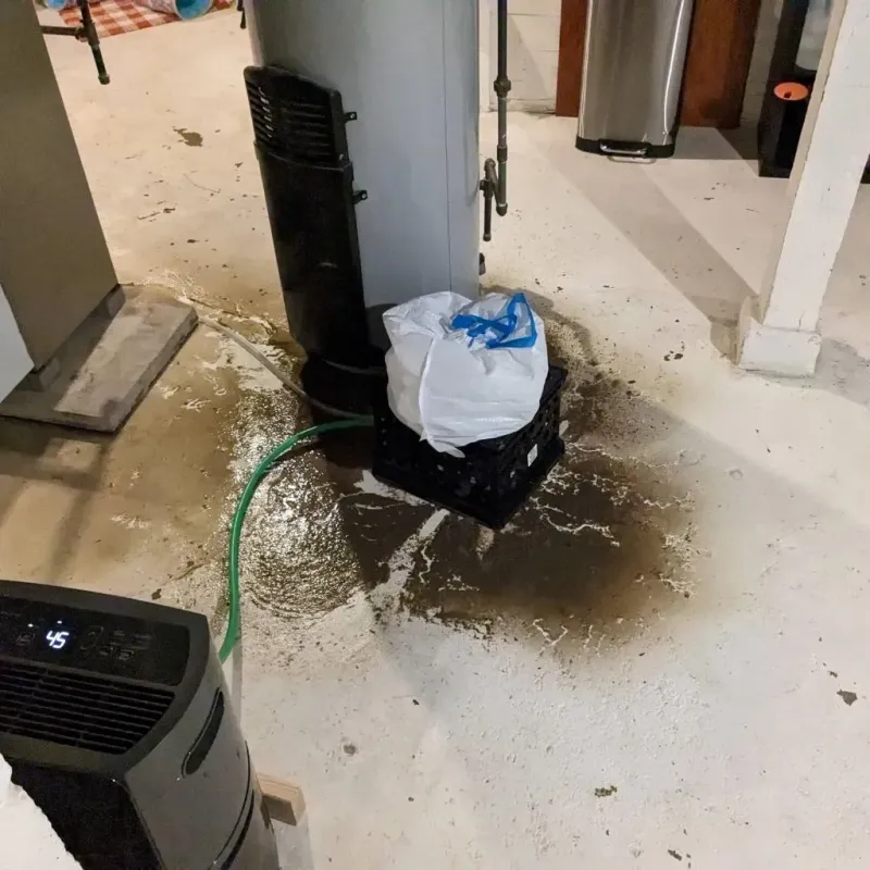 Sewage Backup Cleanup Service in Fern Prairie, WA